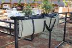 Cattle Rail Gun 52 Inch Single