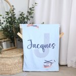 Fleece Blanket Air Plane Light Blue