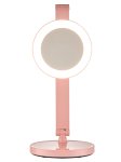 Smart 8W LED Desk Lamp With A Makeup Mirror &1000MAH Built-in Battery 1 Years Warranty