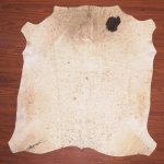 B Grade Cow Hide 2012 Tricolour M - Medium Tricolour Speckled