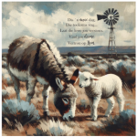 FSC2384 Printed Blanket Assorted