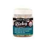 Infla-active Anti Inflammatory Capsules - 90 Capsules