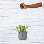 Emerson Leather Matte Hanging Pot - Grey Matt - 16CM Excl. Plant