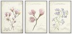 WALL26 Framed Canvas Print Wall Art Set Victorian Style Pink & Purple Flowers Nature Floral Illustrations Realism Rustic Scenic