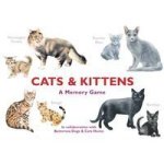Cats & Kittens - A Memory Game Cards