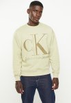 Calvin Klein High Shine Ck Instit Crew Neck - Wheat Fields