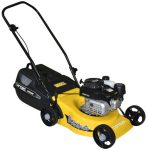 Tandem Prima Lawnmower Torx VX100 Engine 99CC - Lawnmowermecca.co.za