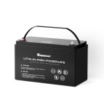 Renogy 24V 50AH Lithium Iron Phosphate Battery For