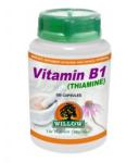 Willow Vitamin B1 Thiamine 100 Capsules