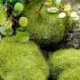 10PCS Artificial Moss & Greenery - Perfect For Diy Fairy Gardens Aquariums & Home Decor Ideal For Weddings & Engagements