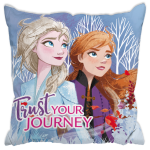 Scatter Filled Cushion - Frozen