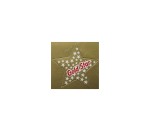 Gold Star Stickers Large 40 Stickers