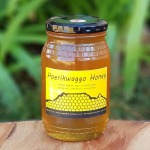Raw Monofloral Honey Apple Blossom Hoerikwaggo Honey