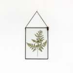 Velt Botanical Frame - Large Fern - 14.8CM X 21CM - A5
