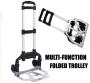 Multi-function Folded Trollley