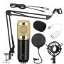 Professional Condenser Microphone Studio Kit With Sound Card