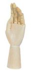 Wooden Hand 12IN