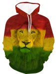 Men's Color Matching Lion Graphic Print Hoodie With Kangaroo Pocket Casual Long Sleeve Hooded Sweatshirt For Outdoor