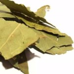 Bay Leaves - 100G
