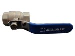Salvalve 3 4 PN20 DN25 Stainless Steel Valve