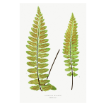 Gathering Green 16 Art Print