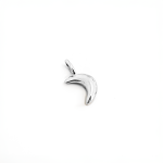 The Moon Charm In Silver