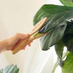 Kikkerland Leaf Cleaning Tongs