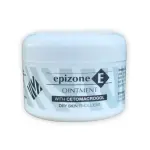 Epizone E Oint 100G