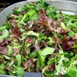 Salad Mix 300G P