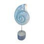 Blue Greenish Conch