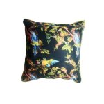 Parrot With Black Background Scatter Cushion 60 X 60CM