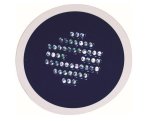 - Sun Command Blue LED Light Globe
