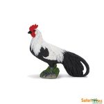 Farm Phoenix Rooster