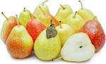 Pear Forelle Tree 50LT
