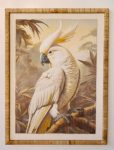 Parrot White Rattan Frame 3X80X60CM