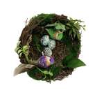 Birds Nest 1
