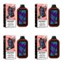 40000 Puffs Disposable Vape - Blackberry Ice Pack Of 4