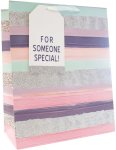 Large Gift Bag Special Finishes Printed Paper Party Bag