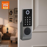 Biometric Smart Door Lock - B005