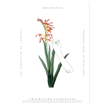 Symbolism 19 Art Print