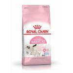 Royal Canin Fhn Mother & Babycat Food