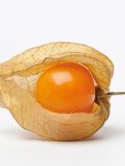 Cape Gooseberry Seed - 1 G Raw Seed