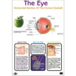 Chart Eye