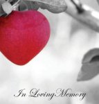 In Loving Memory Funeral Guest Book Celebration Of Life Wake Loss Memorial Service Condolence Book Church Funeral Home Thoughts