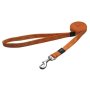 Rogz Alpinist Medium 16mm Matterhorn Fixed Dog Lead - Orange