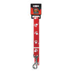 1 X 15MM Dog Lead