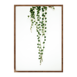 String Of Pearls I Art Print - A3