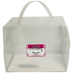 Clear Pvc 19.5 X 19.5 X 15 5 Pack