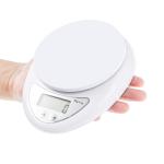 Electronic Kitchen Scale
