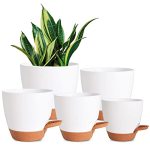 Vanslogreen Plant Pots For Indoor Plants 5 Pack Self Watering Planters 7 6.5 6 5.5 5 Inch Self Watering Pots With Drainage Hole